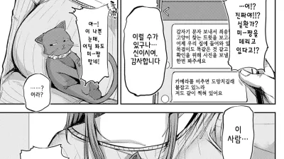 냥 유혹